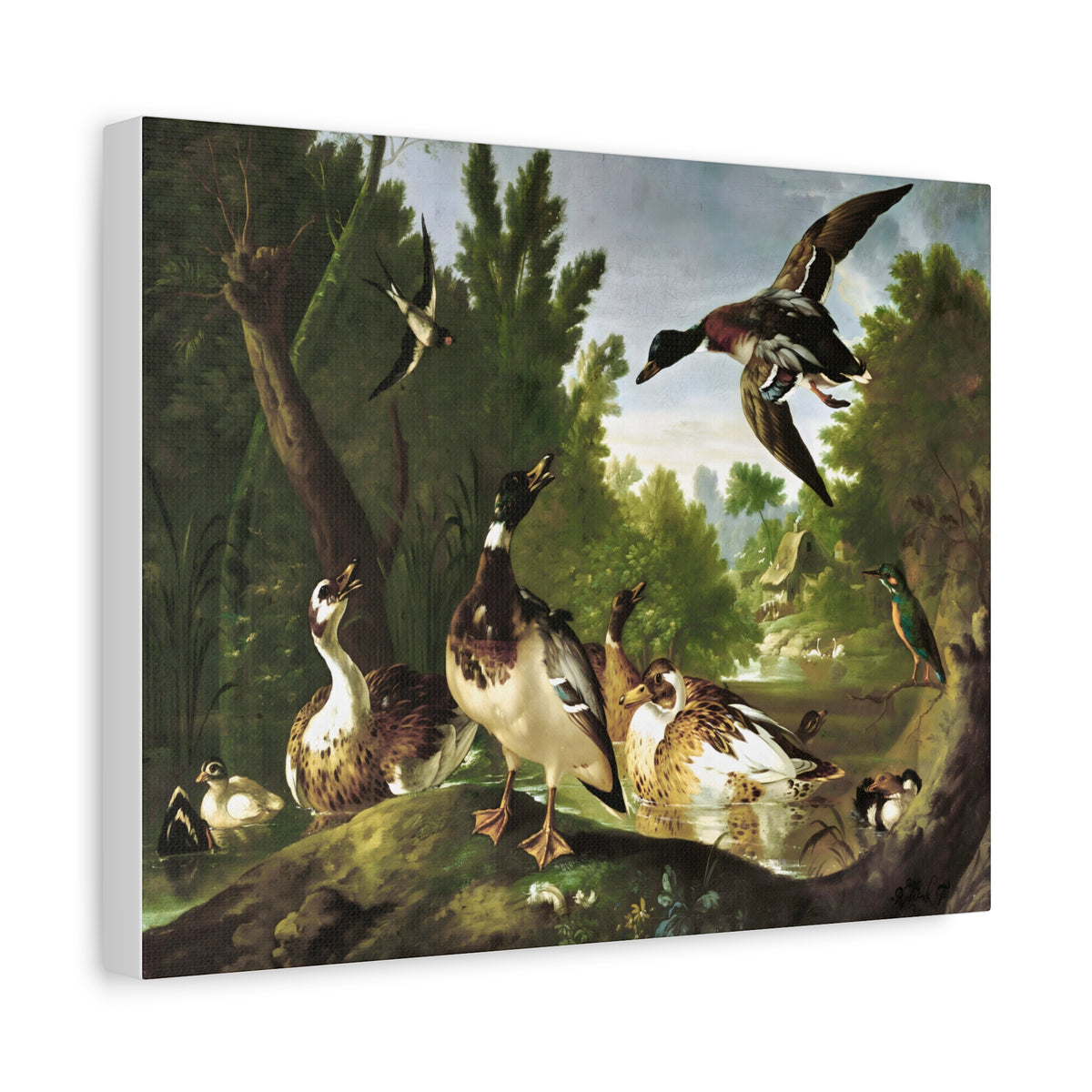 Vintage Ducks & Kingfisher Wall Art | Antique Woodland Bird Painting