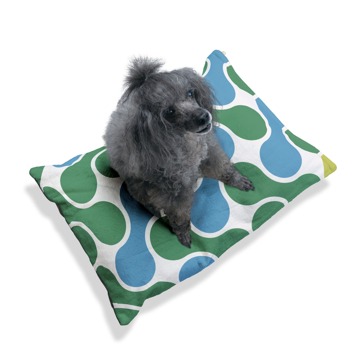 Pet sitting on pattern pillow