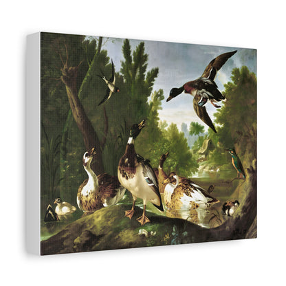 Vintage Ducks & Kingfisher Wall Art | Antique Woodland Bird Painting