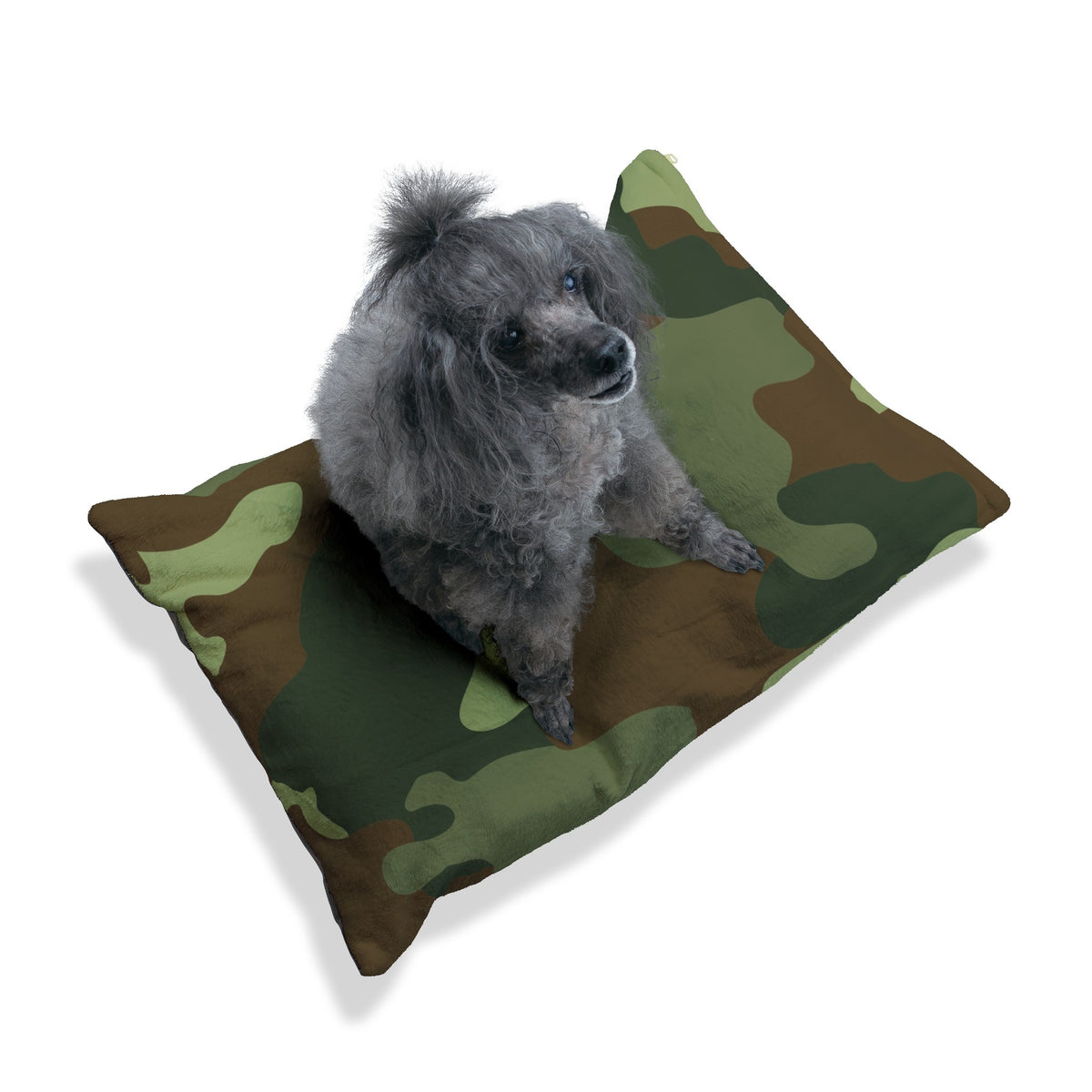 Pet Bed