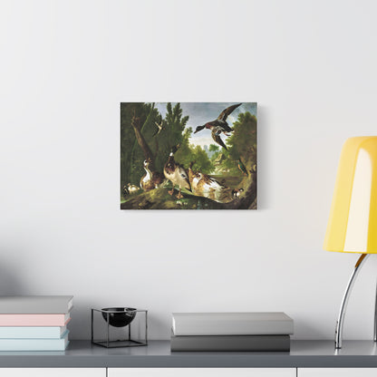 Vintage Ducks & Kingfisher Wall Art | Antique Woodland Bird Painting