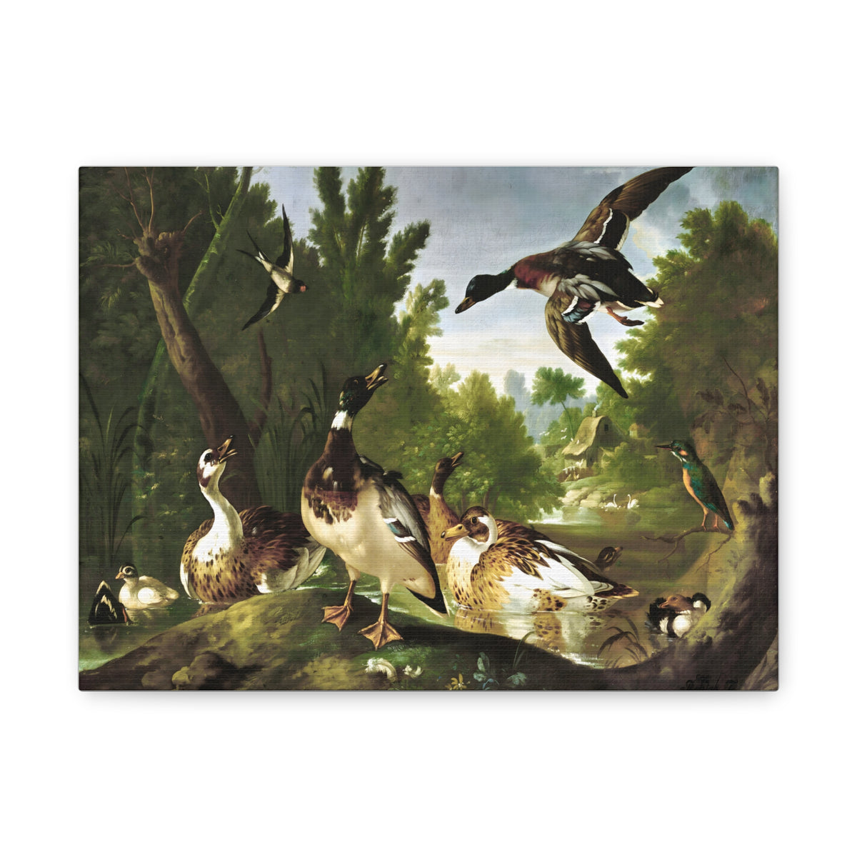 Vintage Ducks & Kingfisher Wall Art | Antique Woodland Bird Painting
