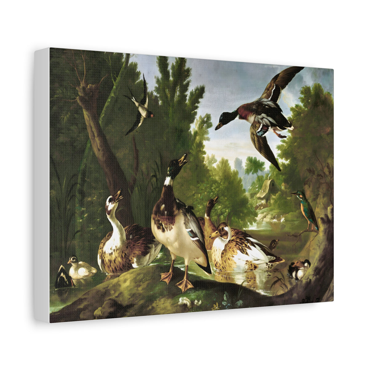 Vintage Ducks & Kingfisher Wall Art | Antique Woodland Bird Painting